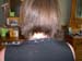 DSCN5611