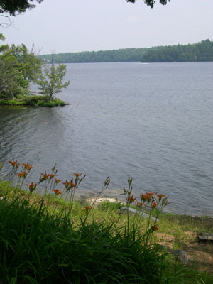 DSCN5741