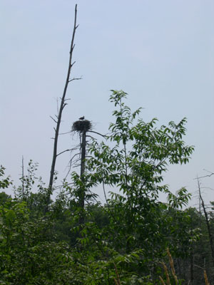 DSCN5742