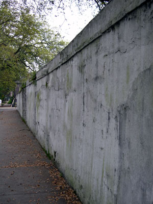 DSCN4953