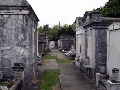 DSCN4965