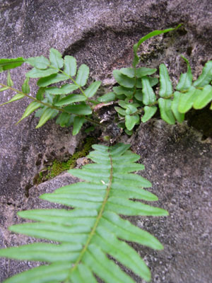 DSCN4976