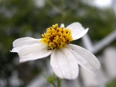 DSCN5002