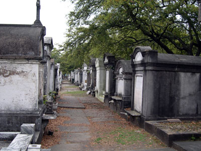 DSCN5008