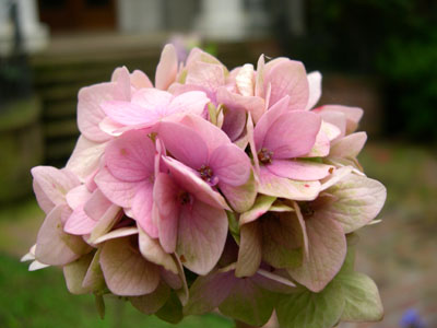 DSCN5018