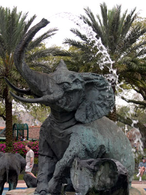 DSCN5044
