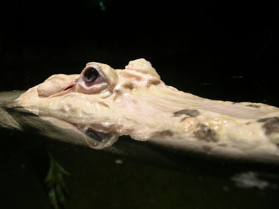 DSCN5110