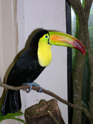 DSCN5160