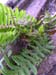DSCN4979