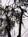 DSCN5025