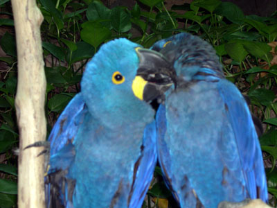 DSCN5204