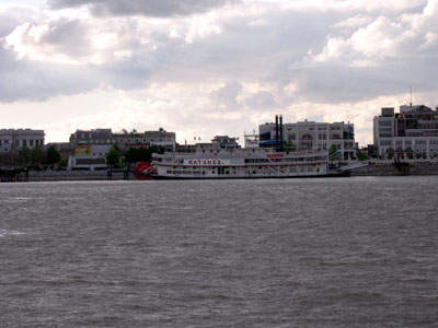 DSCN5242
