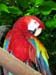 DSCN5203