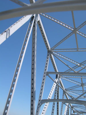 DSCN5247