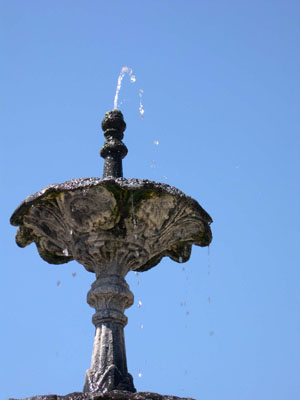 DSCN5256