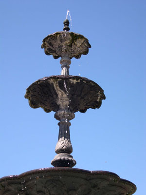 DSCN5257