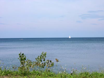 DSCN3064