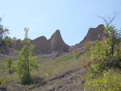 DSCN3076