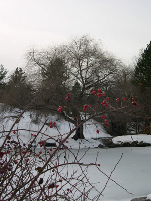 DSCN4767