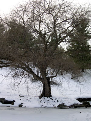 DSCN4772