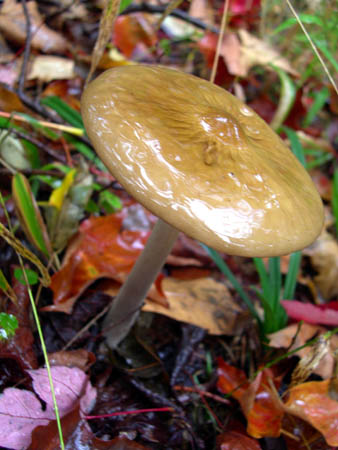 DSCN3770