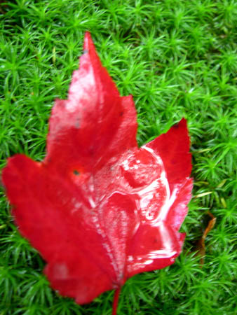 DSCN3774