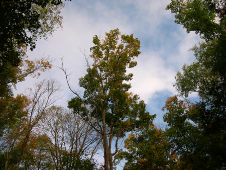 DSCN3808