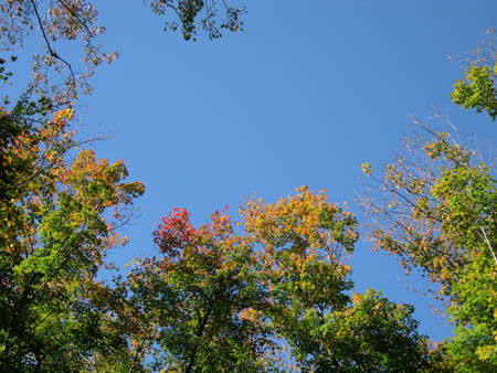 DSCN3815