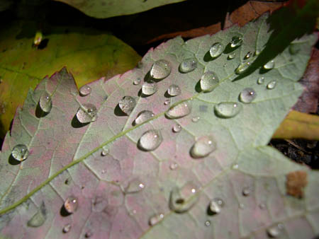 DSCN3856