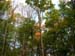 DSCN3809