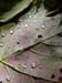 DSCN3858