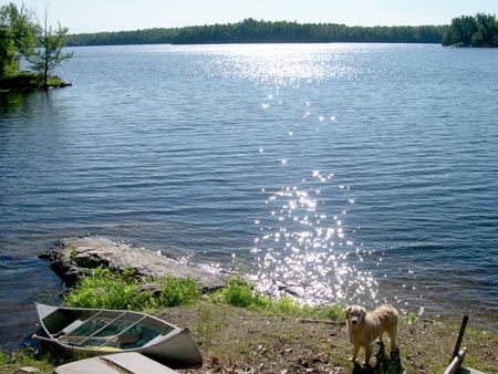 DSCN2164