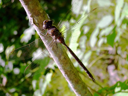 DSCN2178