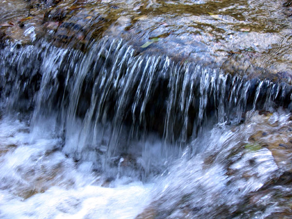 DSCN0178