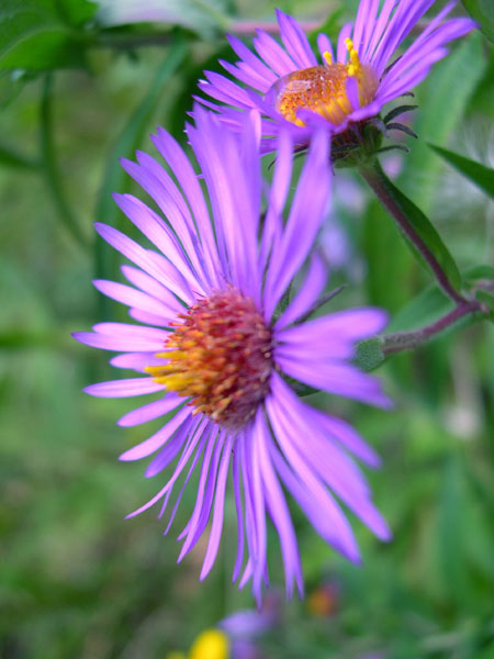 DSCN0187