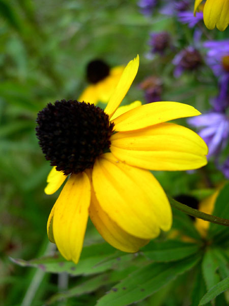 DSCN0190