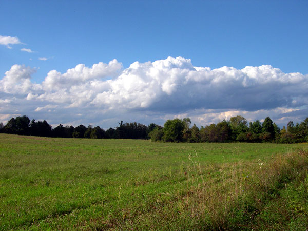 DSCN0195