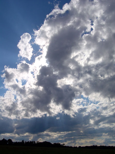 DSCN0197