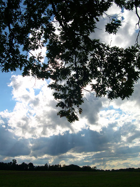 DSCN0198