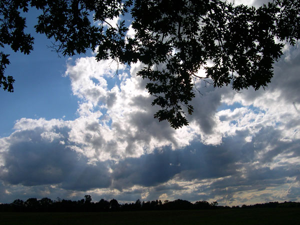 DSCN0199