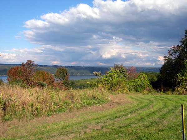 DSCN0209