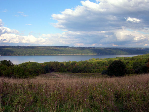 DSCN0211