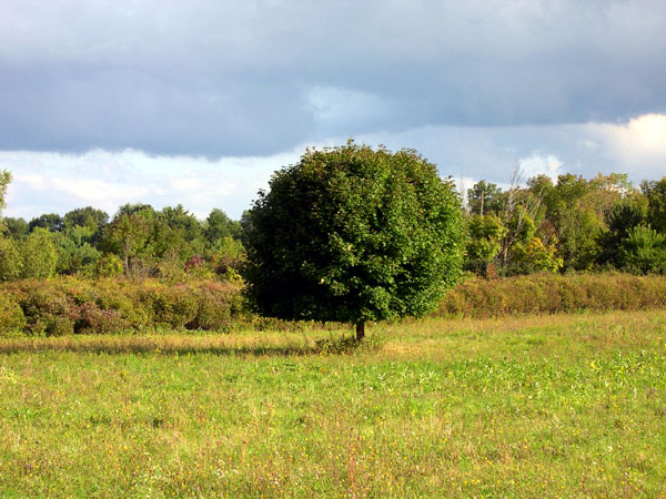 DSCN0224