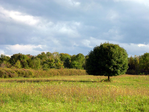 DSCN0226