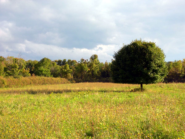DSCN0228