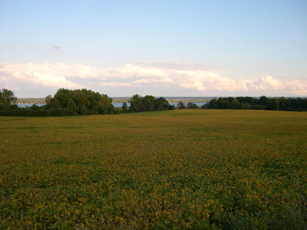DSCN0241