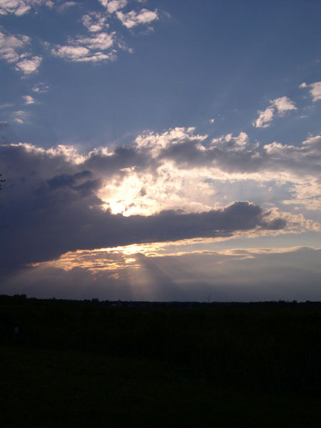 DSCN0245