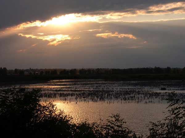 DSCN0250