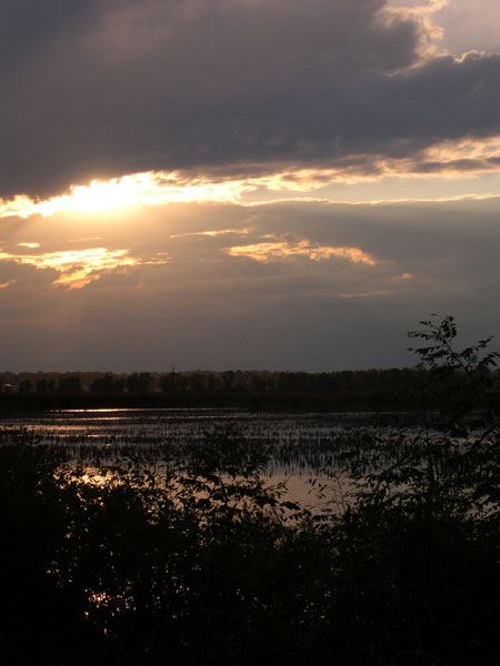 DSCN0251
