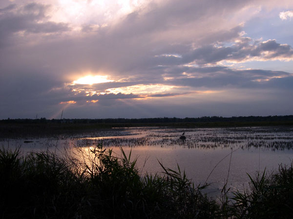 DSCN0256